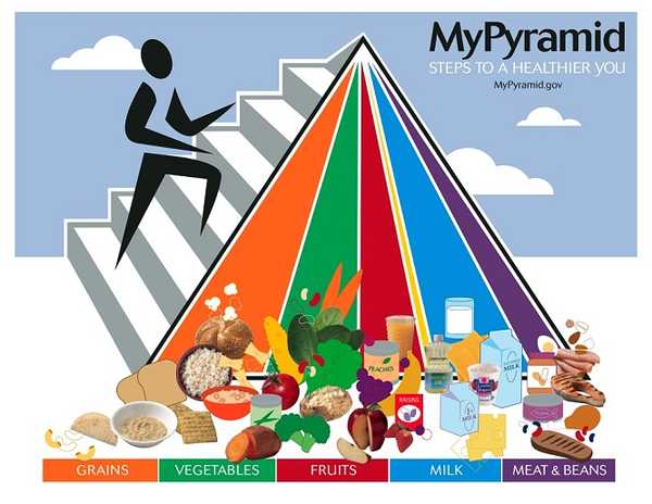 nutritionPyramid